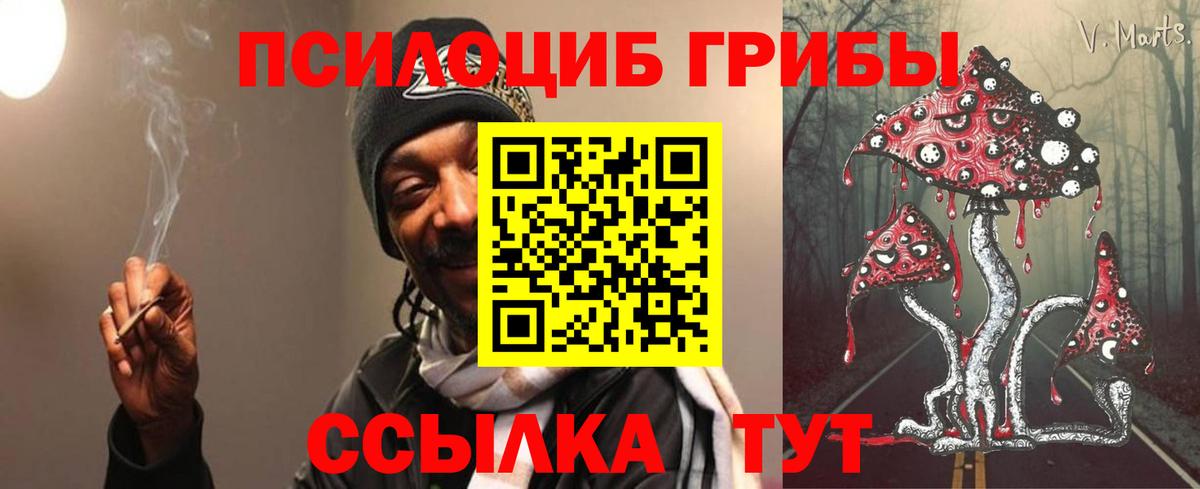 Южноуральск  Галлюциногенные грибы Psilocybine cubensis  Вход с VPN 